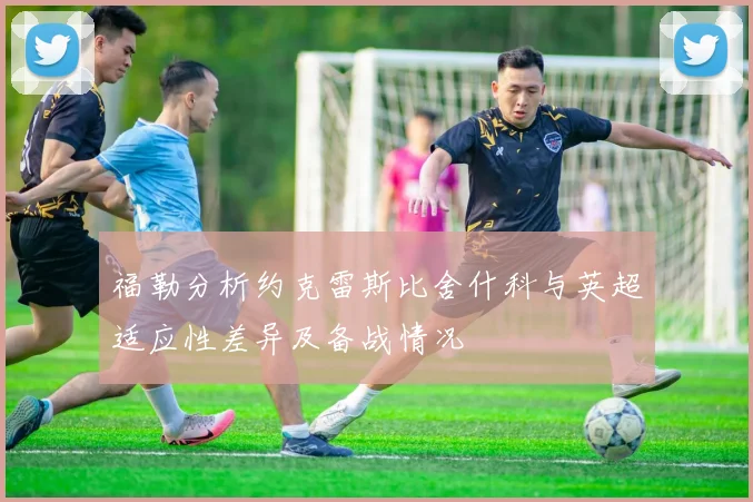 福勒分析约克雷斯比舍什科与英超适应性差异及备战情况