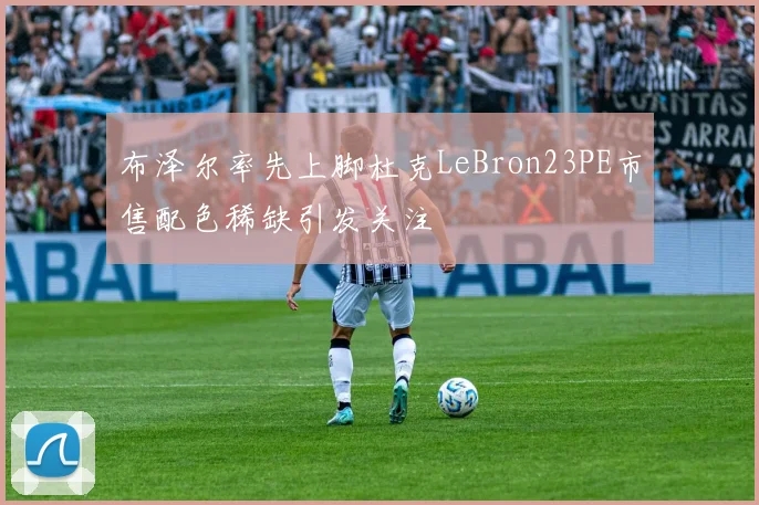 布泽尔率先上脚杜克LeBron23PE市售配色稀缺引发关注