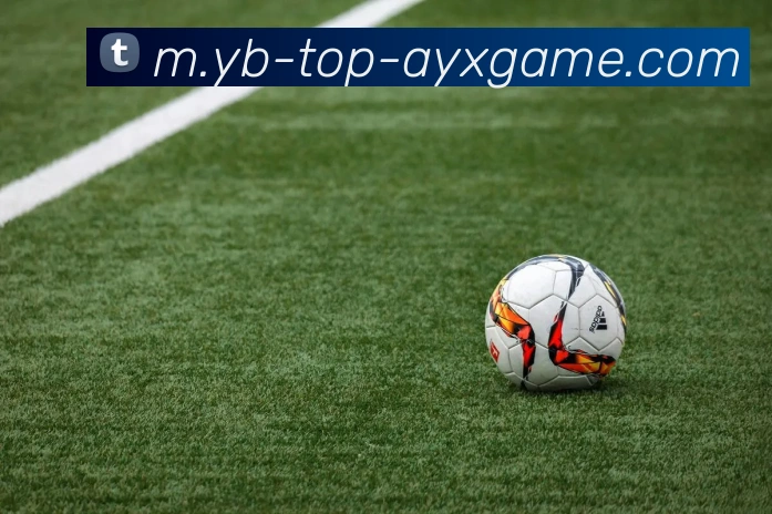 App Interface Preview