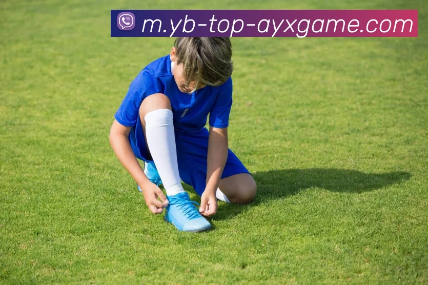 爱游戏APP 封面图